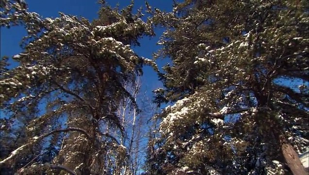 Créatures fantastiques - S01E04 - Le Windigo [VQ]