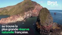 Aucun habitant, aucun arbre et quasi inaccessible… Bienvenue dans la plus grande réserve naturelle française