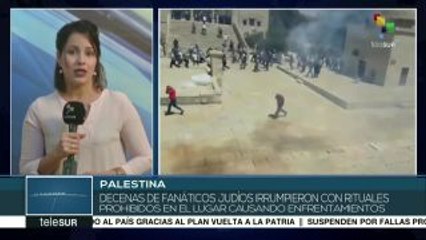 Fanáticos judíos irrumpen en mezquita palestina de Al Aqsa