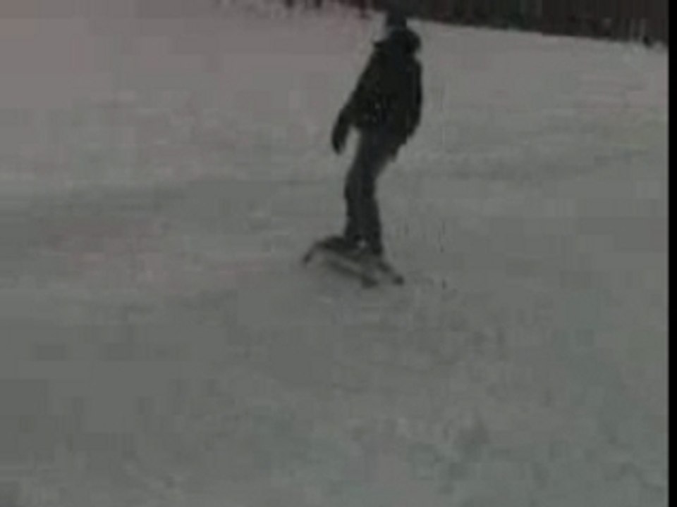 ICEFLEX