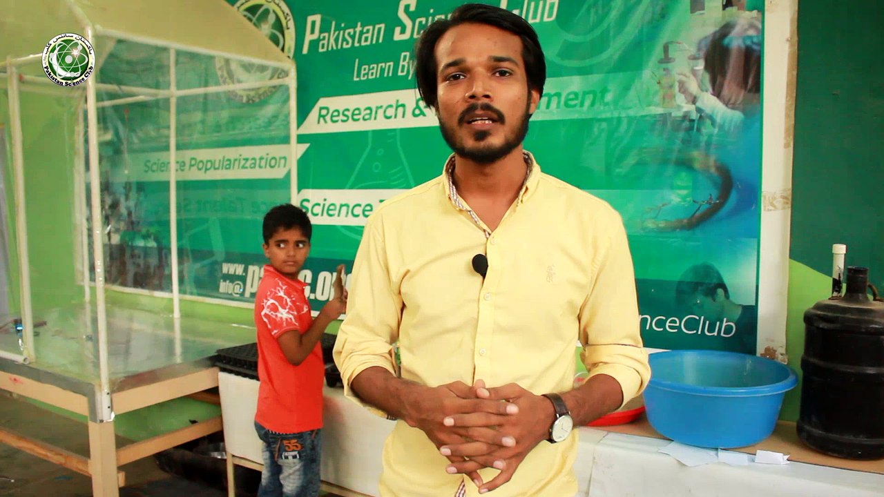 ٹرے میں بیج بونے کا طریقہ