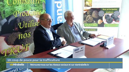 viàMirabelleInfo 19/09/18