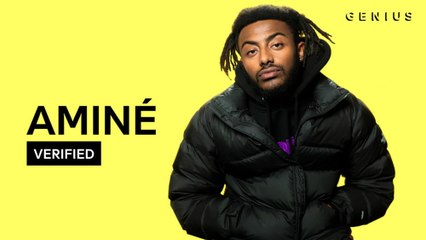 Aminé "DR. WHOEVER" Official Lyrics & Meaning | Verified