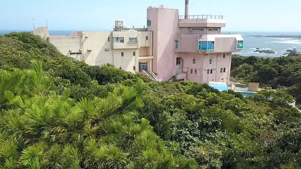 Un dauphin abandonné dans un parc zoologique (Japon)