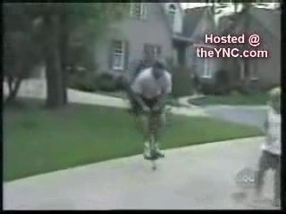 Compilation De Gamelles