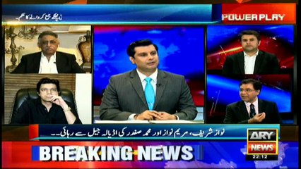 IHC judgement just an interim relief: Raja Amir Abbas