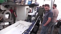 Karadenizli Balıkçıların Ağları İstavritle Doldu