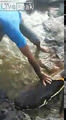 Pêcher à la main un poisson d'1m de long... Pas si simple !