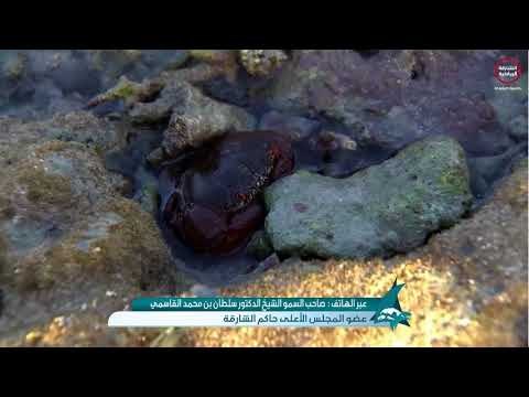 مكالمة حاكم الشارقة للحديث عن سبب تسمية جزيرة صير بونعير ويشكر القائمين على المهرجان