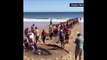 Des touristes improvisent une chaîne humaine pour sauver un requin échoué sur la plage