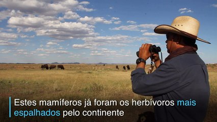 Esperança contra a extinção