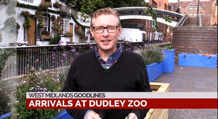 GOODLINES: September 20th 2018