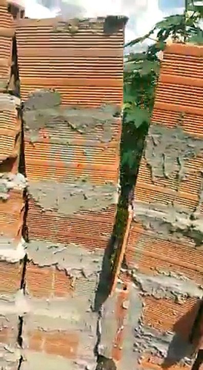 Construction d'un mur par une pro ! (Brésil)