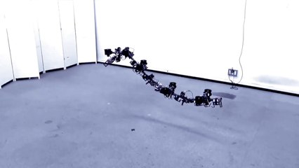 WATCH This Creepy Robot Dragon FLY