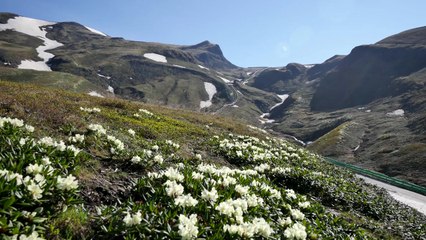 '평화, 새로운 미래' 2018 남북정상회담 평양 3일차 (1)  / YTN