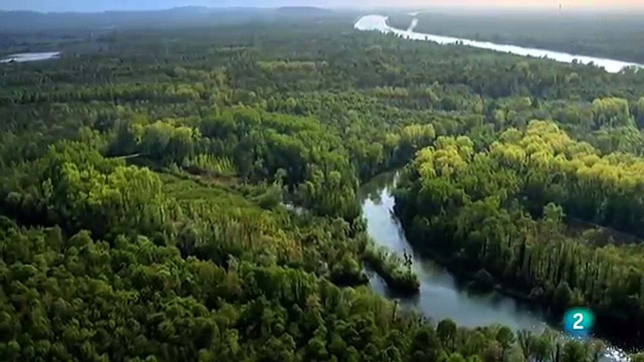 300 millones de años 1-2 - La gran colisión - Documental