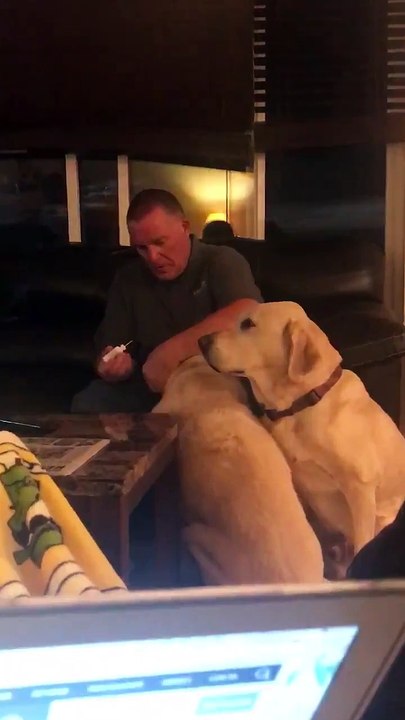 Dono finge dar remédio a um de seus dois cachorros para que ele não se sinta de fora