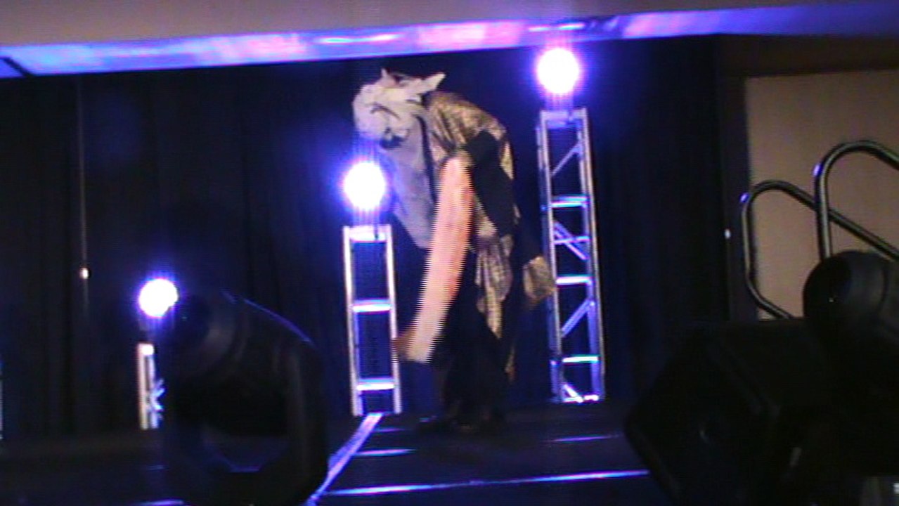 Liberty City Anime Convention 08-18-2018: Cosplay Masquerade - Part 4