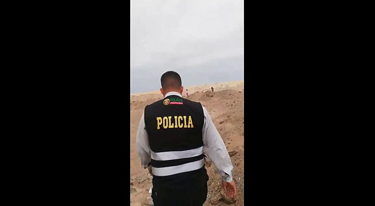 niña cuidada por perrito