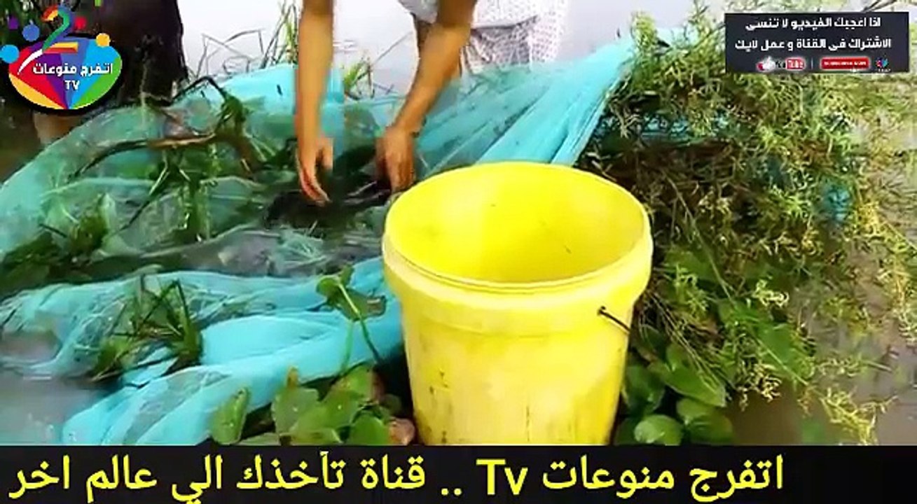بنت جميلة تصطاد السمك بطريقة ذكية وهي تستحم في النهر مع صديقها .. كيفية عمل فخ لصيد السمك !؟