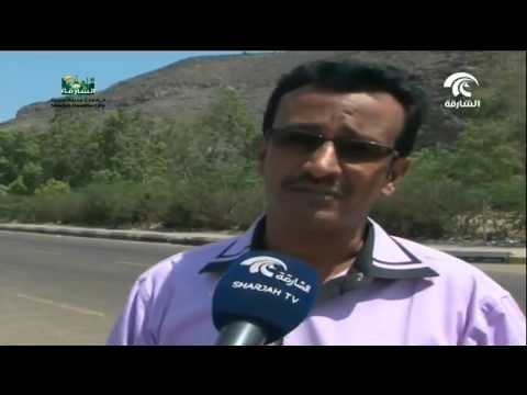 محافظة تعز تشهد مواجهات عنيفة بين المقاومة الشعبية ومليشيات الحوثيين