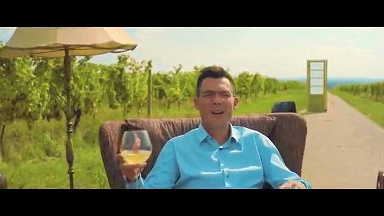 Zeljko Vasic -  Gnezdo (official video 2018)
