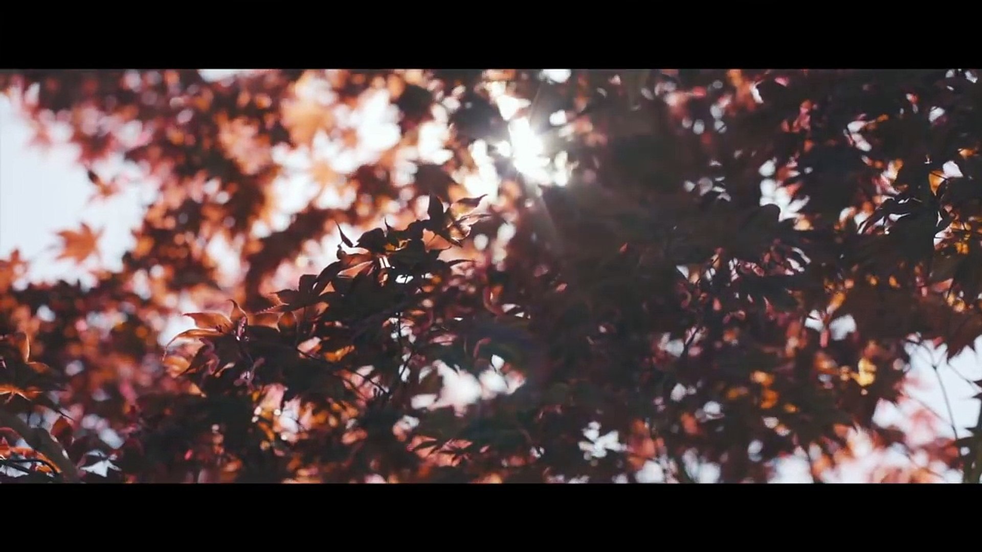 ⁣Inspiring Cinematic Background Music For Videos