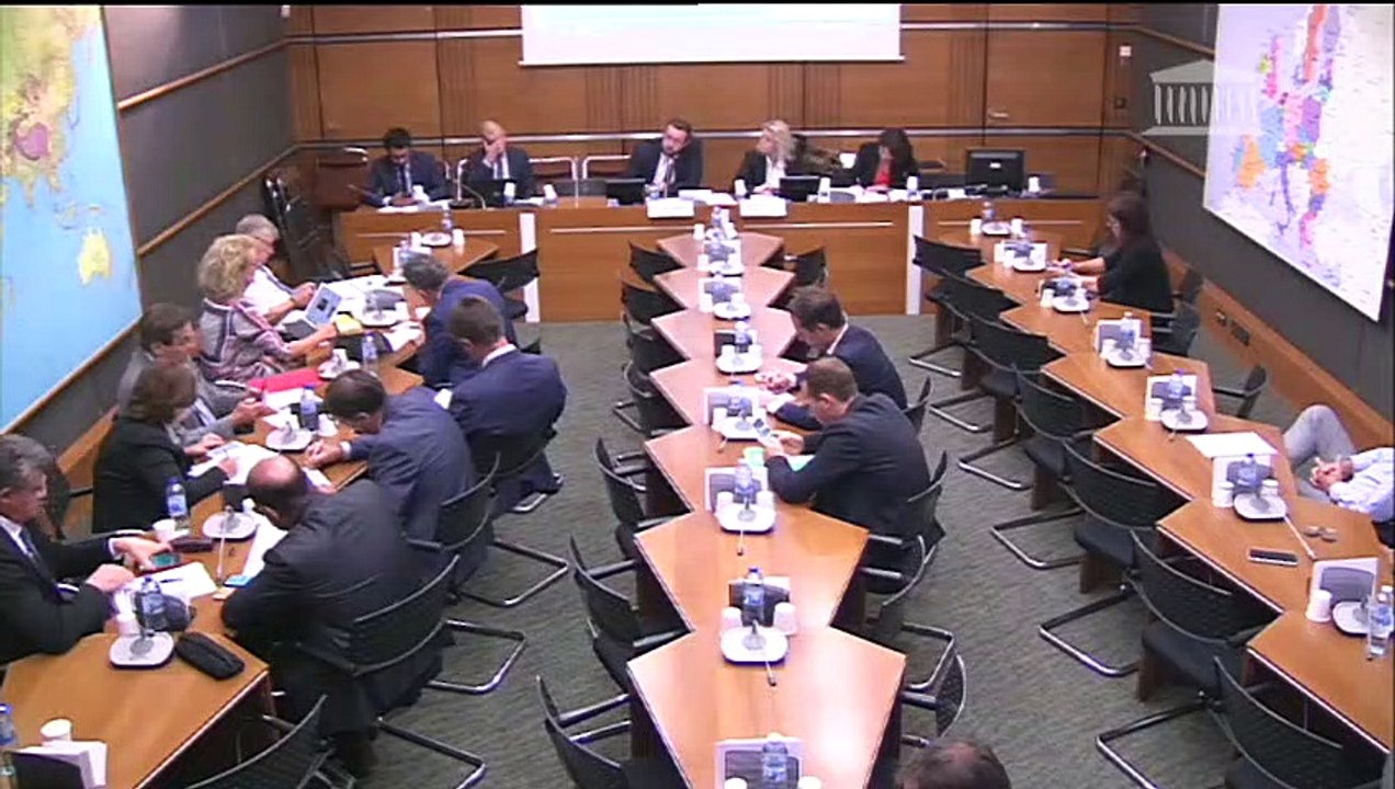 Commission du développement durable : Rapport de la mission sur les véhicules utilitaires légers  - Mercredi 19 septembre 2018