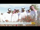 بلدية مدينة الذيد تنظم حملة لتشجير النباتات الصحراوية