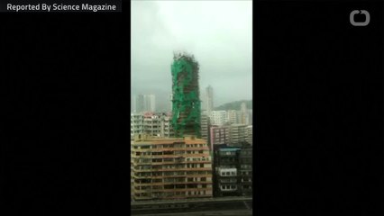 Florence, Mangkhut A Boon Of Disaster Data For Scientists