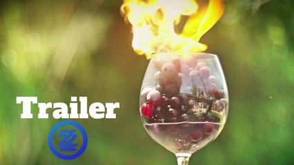 Somm 3 Trailer #1 (2018) Fred Dame, Brian McClintic Documentary Movie HD