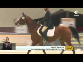 سلطان بن زايد يتوج الفائزين بمنافسات بطوله سموه لترويض الخيول