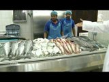أسعار الأسماك لهذا اليوم في سوق الجبيل 30-3-2016