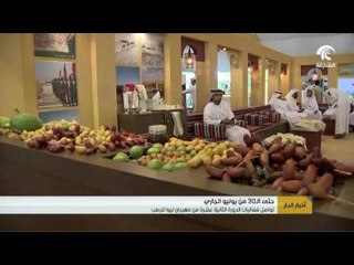 تواصل فعاليات الدورة 12 من مهرجان ليوا للرطب