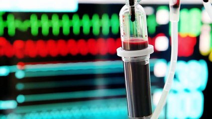 8 Признаков, Что Вашему Организму Не Хватает Фолиевой Кислоты