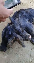 It's happening in India