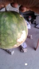 Earth - why not! are we a spec!?