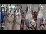 صباح الشارقة: أسعار الأسماك واللحوم والخضراوات من سوق الجبيل اليوم 7/9/2016