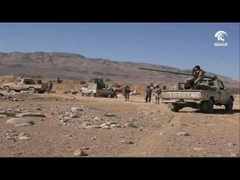 أخبار الدار: عشرات القتلى و الجرحى في صفوف الميليشيات الحوثية و قوات المخلوع صالح