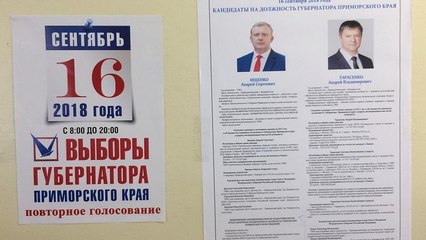 Приморский избирком отменил результаты выборов губернатора