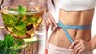Lemon & Mint Tea for Weight Loss: नींबू और पुदीने की चाय के फायदे जान हैरान हो जाएंगे आप | Boldsky
