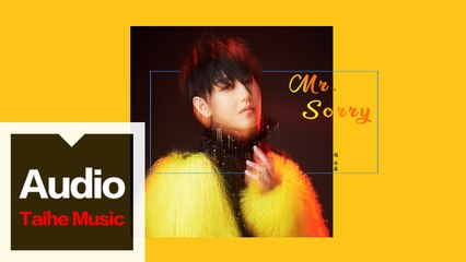 趙泳鑫 Steelo【Mr.Sorry】HD 高清官方歌詞版 MV