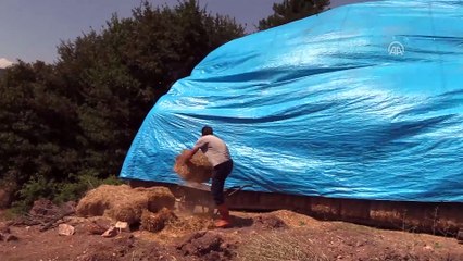 AVM yöneticisi köyünde hayvancılığa başladı - BİLECİK