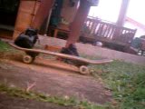 ma new figure en skate