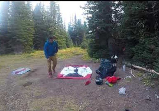 Hiker Records Dangerously Close Encounter With Grizzly Bear Family