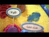 صباح الشارقة: تقرير العودة إلى المدارس