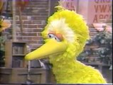Classic Sesame Street - Maria and Luis Tell Big Bird They're Having a Baby