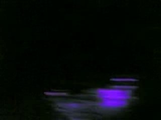 La comunoté d lanceur 2 chat