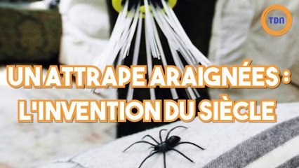 Un attrape-araignées : l'invention du siècle