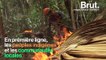 Climat : des milliers d’hectares de forêts menacés par les flammes en Amérique latine